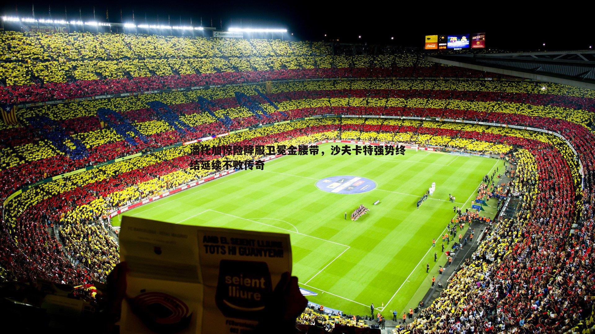 完美体育-潘托加惊险降服卫冕金腰带，沙夫卡特强势终结延续不败传奇