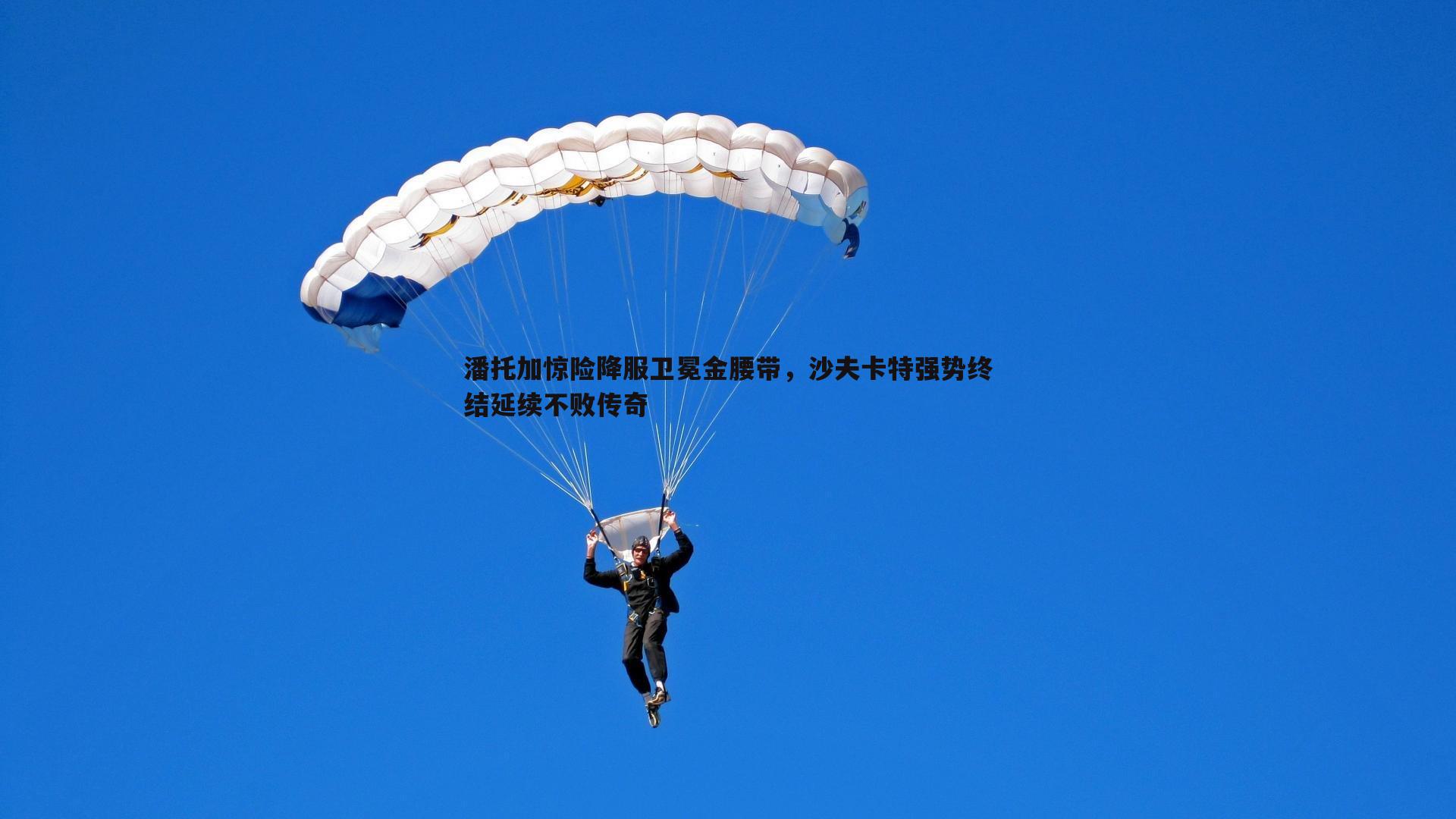 潘托加惊险降服卫冕金腰带,沙夫卡特强势终结延续不败传奇